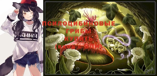 скорость Богданович